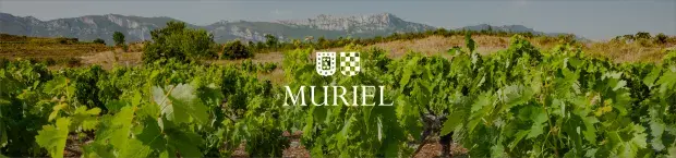 Muriel Wines confía en ACC para definir, posicionar y activar sus marcas